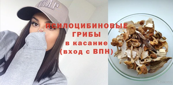 сатива Михайлов