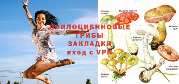 гидропоника Медногорск