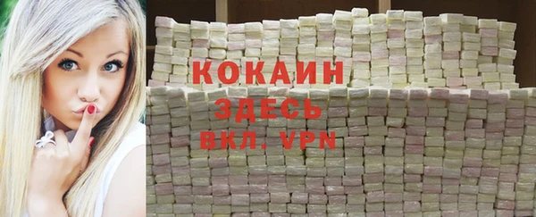 сатива Михайлов