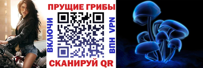 Галлюциногенные грибы прущие грибы  KRAKEN онион  Рассказово 