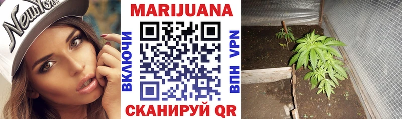 Марихуана сатива даркнет телеграм Рассказово
